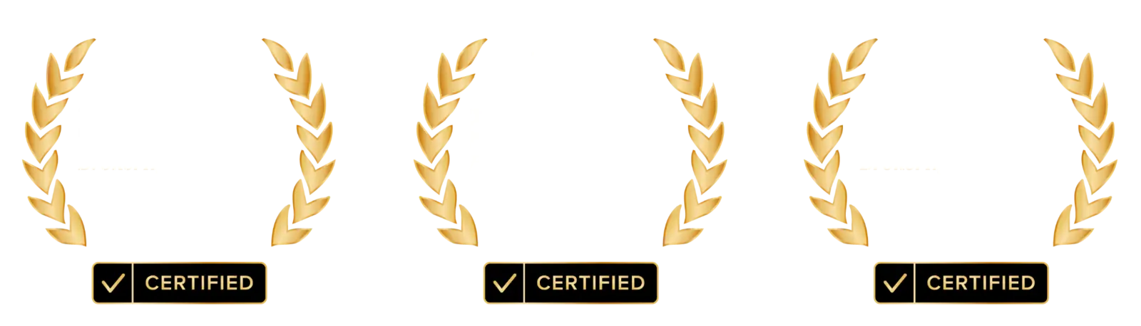 Broker Agent Advisor Rising Star, Five Star and Seven Star certification badges